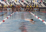 Foto Deportes abre hoy el plazo de inscripcin para los cursos de natacin del ltimo trimestre del curso 2023-2024